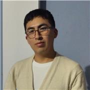 Profesor de reforzamiento en áreas básicas y creación de sesiones para docentes